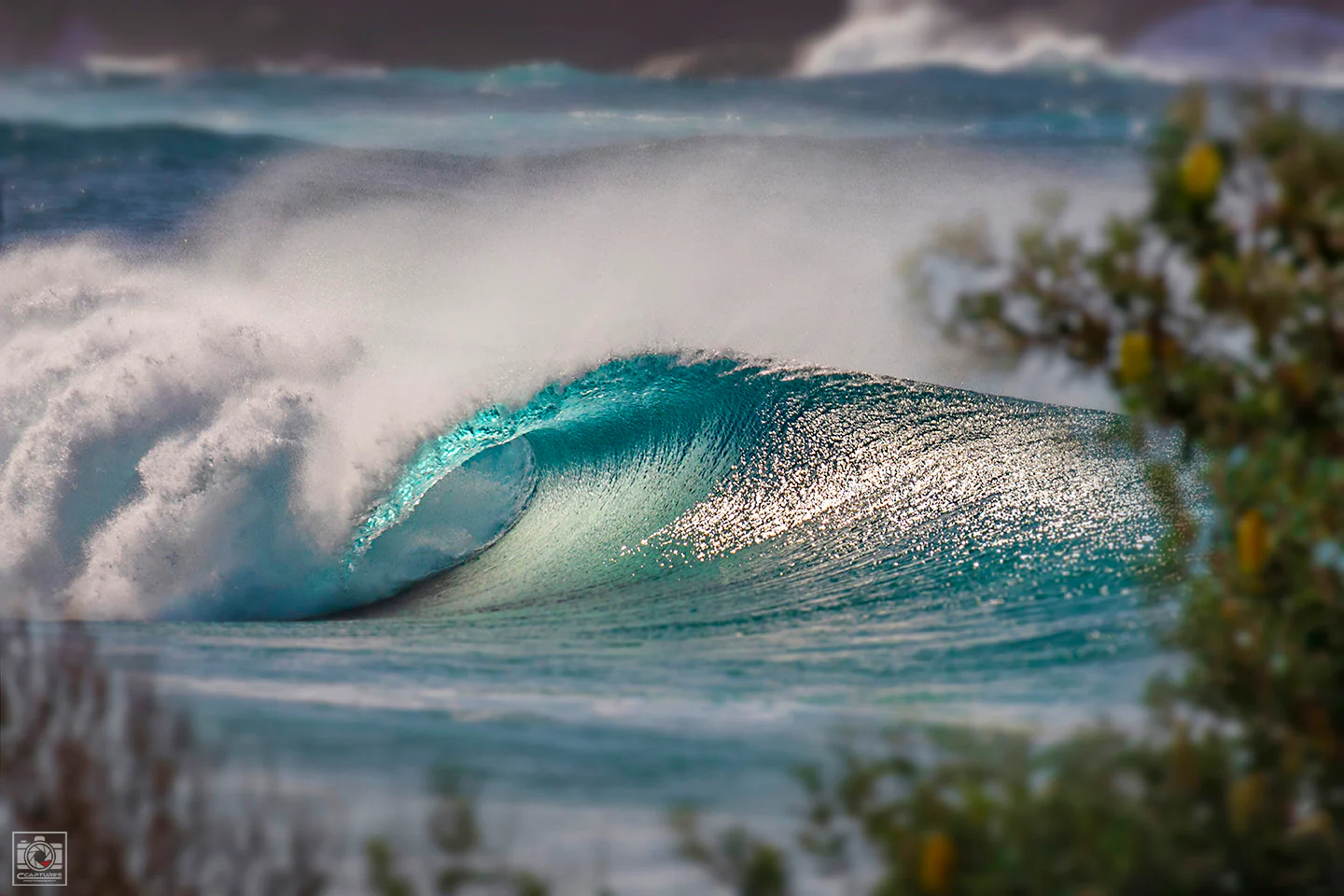 Rip curl moment